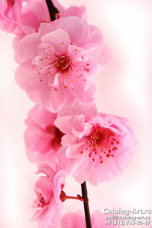 Blossom tree 19